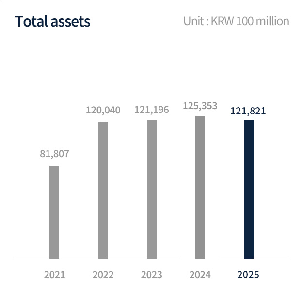 Total assets Graph Image